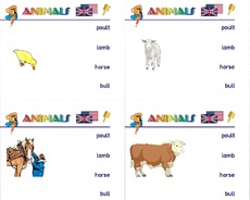 Holzcomputer-animals 07.pdf